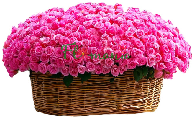 501 розовая роза в плетеной корзине Sweetheart